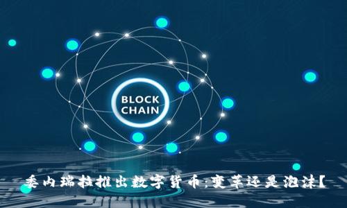 委内瑞拉推出数字货币：变革还是泡沫？