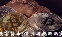 乌克兰数字货币：潜力与挑战的完美结合