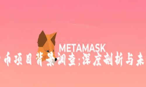 数字货币项目背景调查：深度剖析与未来展望