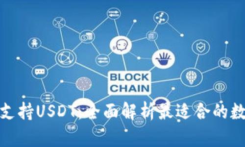 : 什么钱包支持USDT：全面解析最适合的数字货币钱包