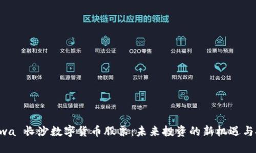  akwa 长沙数字货币股票：未来投资的新机遇与挑战