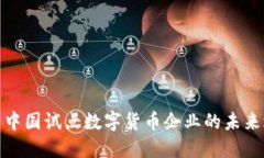 探索中国试点数字货币企业的未来之路