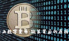 缅甸全面禁止数字货币：政策背后的原因与影响