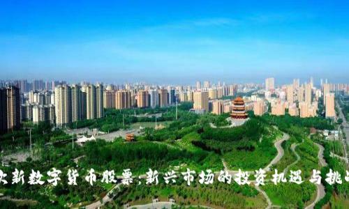 次新数字货币股票：新兴市场的投资机遇与挑战