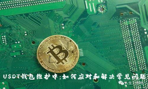 USDT钱包维护中：如何应对和解决常见问题