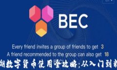 罗湖数字货币使用全攻略：从入门到精通