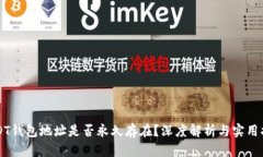 USDT钱包地址是否永久存在？深度解析与实用指南