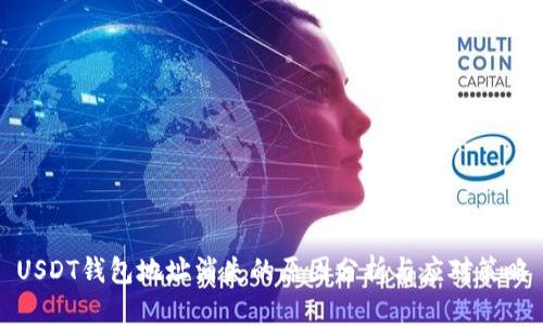 USDT钱包地址消失的原因分析与应对策略