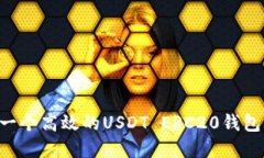 如何开发一个高效的USDT ERC20钱包：完整指南