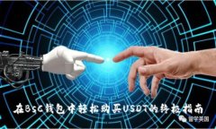在BsC钱包中轻松购买USDT的终极指南
