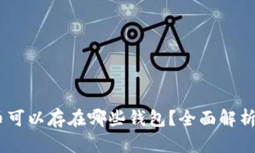 USDT币可以存在哪些钱包？全面解析和推荐