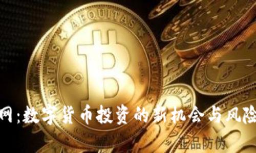 链金网：数字货币投资的新机会与风险解析