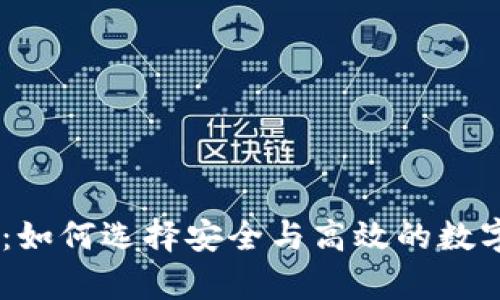 USDT钱包分析：如何选择安全与高效的数字货币存储方案