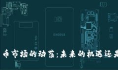 数字货币市场的动荡：未来的机遇还是隐患？