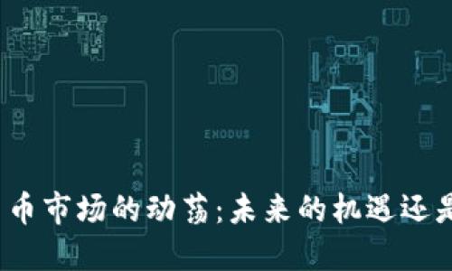 数字货币市场的动荡：未来的机遇还是隐患？