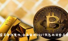 在柬埔寨革命性变化：全面解析USDT钱包的优势与