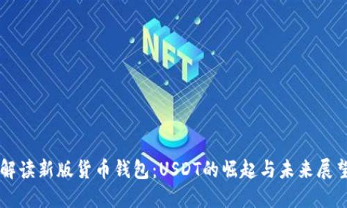 解读新版货币钱包：USDT的崛起与未来展望