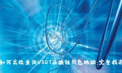 如何高效查询USDT区块链钱包地址：完整指南
