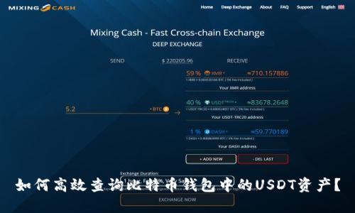 如何高效查询比特币钱包中的USDT资产？