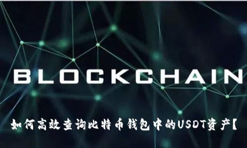 如何高效查询比特币钱包中的USDT资产？