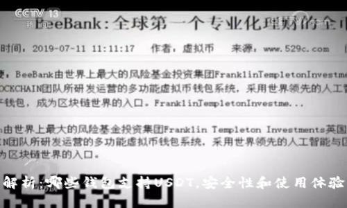 : 全面解析：哪些钱包支持USDT，安全性和使用体验大揭秘