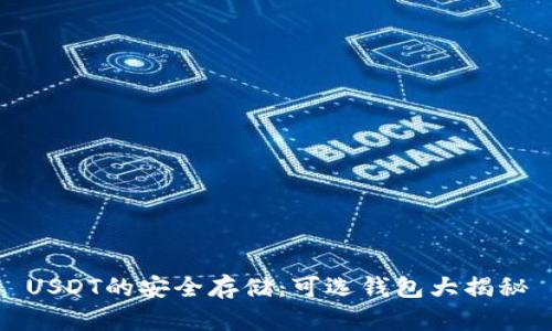USDT的安全存储：可选钱包大揭秘