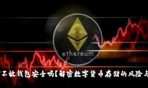 USDT不放钱包安全吗？解密数字货币存储的风险与策略