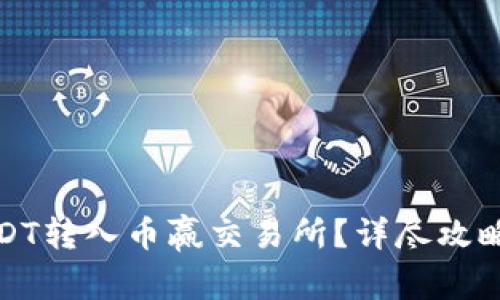 TP钱包如何将USDT转入币赢交易所？详尽攻略与常见问题解答