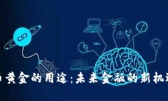 数字货币黄金的用途：未来金融的新机遇与挑战