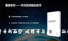 揭开数字货币的面纱：比特币与未来金融的关系