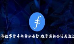 揭开大狮数字货币的神秘面纱：投资新机会还是