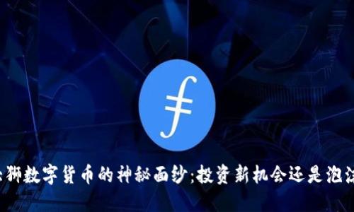 揭开大狮数字货币的神秘面纱：投资新机会还是泡沫危机？