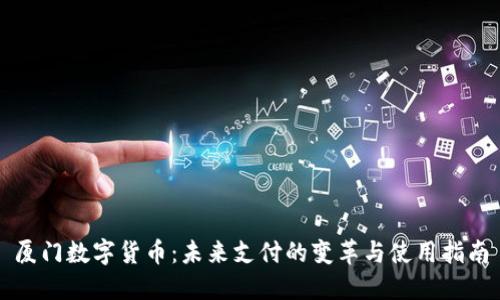 厦门数字货币：未来支付的变革与使用指南