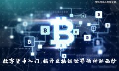 数字货币入门：揭开区块链世界的神秘面纱