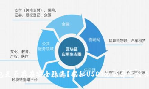  TP钱包是否存在安全隐患？揭秘USDT余额异常增长的原因