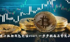 如何使用小狐狸钱包充值USDT：一步步指南与常见