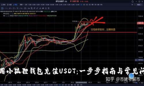 如何使用小狐狸钱包充值USDT：一步步指南与常见问题解答
