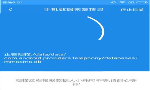 解决Token.im钱包USDT不显示问题的详细指南