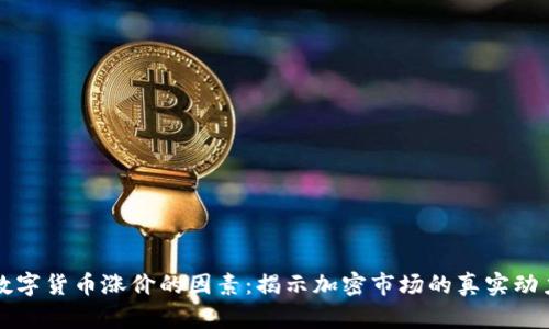 数字货币涨价的因素：揭示加密市场的真实动力