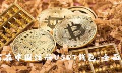 如何在中国注册USDT钱包：全面指南