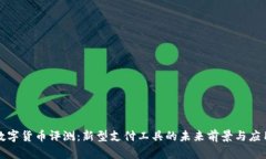 建行数字货币评测：新型支付工具的未来前景与