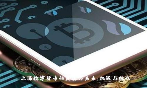 上海数字货币的发展与未来:机遇与挑战