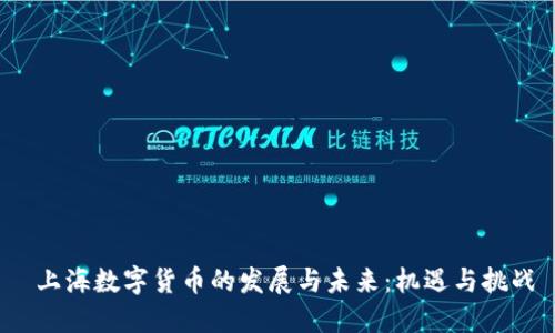 上海数字货币的发展与未来:机遇与挑战